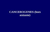 CANCEROGENES (hors amiante). INTRODUCTION : Le cancer est en France un problème de santé publique majeur. Chaque année,280 000 nouveaux cas de cancer.
