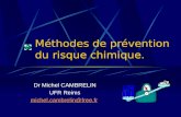 Méthodes de prévention du risque chimique. Dr Michel CAMBRELIN UFR Reims michel.cambrelin@free.fr.