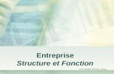 Entreprise Structure et Fonction Drs Chaudré, Palmieri, Zonato.