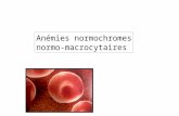 Anémies normochromes normo-macrocytaires. I-Définition Anémie : diminution du taux dHb Homme < 13g/dL Femme < 12g/dL Nné < 14g/dL Normochrome : CCMH 32-36%