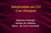 Intoxication au CO Cas cliniques Stéphanie Kleinlogel Journées de validation Reims - 30, 31/01 et 01/02/06.