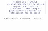 Réseau CHU – CNRACL de développement et de mise à disposition doutils dévaluation des risques professionnel adaptés aux établissements de soins R de Gaudemaris,