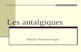 Les antalgiques Module Pharmacologie. IFSI Bichat - Annie Le Trionnaire - Janvier 20072 Objectifs pédagogiques Citer les deux grandes classes dantalgiques.