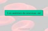 C.Yvenou AnémiesNN Avril071 Les anémies du nouveau -né