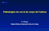 Pathologies du col et du corps de lutérus A. Thoury Hôpital Bichat, Maternité Aline de Crépy.