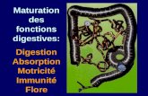 Maturation des fonctions digestives: Digestion Absorption Motricité Immunité Flore.