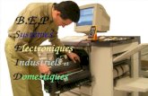 B.E.P Systèmes Electroniques Industriels et Domestiques