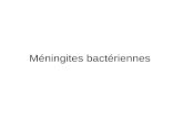 Méningites bactériennes. Epidémiologie Méningocoque: 5 sérotypes A B C Y W135 Pneumocoque 75 % des méningites bactériennes 500 cas pour chacun de ces.