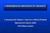 LHEMORRAGIE MENINGEE EN URGENCE S. Sénamaud, M.E. Petitjean, T. Saint-Val, C. Pellerin, Ph Dabadie Département des Urgences Adultes CHU Pellegrin, Bordeaux.