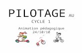 PILOTAGE AU CYCLE 1 Animation pédagogique 24/10/10.