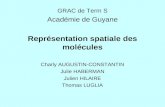 GRAC de Term S Académie de Guyane Représentation spatiale des molécules Charly AUGUSTIN-CONSTANTIN Julie HABERMAN Julien HILAIRE Thomas LUGLIA.
