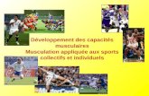 Développement des capacités musculaires Musculation appliquée aux sports collectifs et individuels.
