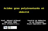 Acides gras polyinsaturés et obésité Prof. Gérard Ailhaud UMR-6543 CNRS Nice (France-E.U.) Faculté de Médecine et de Pharmacie Dijon-Septembre 2007.
