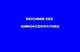 1 BIOCHIMIE DES AMINOACIDOPATHIES. 2 Les maladies héréditaires du métabolisme des acides aminés peuvent être classées en deux catégories : des anomalies.