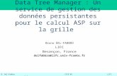 B. Del-FabbroCFSE05LIFC p.1 Data Tree Manager : Un service de gestion des données persistantes pour le calcul ASP sur la grille Bruno DEL-FABBRO LIFC Besançon,