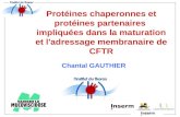 Chantal GAUTHIER Protéines chaperonnes et protéines partenaires impliquées dans la maturation et l'adressage membranaire de CFTR.