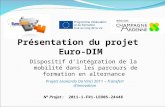 Présentation du projet Euro-DIM Projets Leonardo Da Vinci 2011 – Transfert dinnovation Dispositif dintégration de la mobilité dans les parcours de formation.