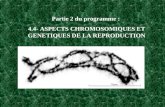 Partie 2 du programme : 4.4- ASPECTS CHROMOSOMIQUES ET GENETIQUES DE LA REPRODUCTION