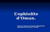 Lophiolite dOman. Diaporama réalisé par Christophe CROQUELOIS, professeur de TS au lycée P. Corneille.