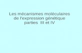 Les mécanismes moléculaires de l'expression génétique parties III et IV.