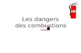 Les dangers des combustions L'intoxication par le monoxyde de carbone est la première cause de décès par intoxication en France : elle cause la mort.