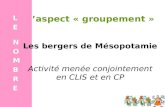 Laspect « groupement » LENOMBRELENOMBRE Les bergers de Mésopotamie Activité menée conjointement en CLIS et en CP.