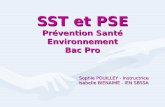 SST et PSE Prévention Santé Environnement Bac Pro Sophie POUILLEY - Instructrice Isabelle BIENAIME - IEN SBSSA.