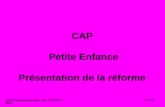 CAP Petite Enfance Présentation de la réforme Académie de la Guadeloupe – IEN – ET SBSSA Janvier 2009.