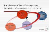 La Liaison CFA – Entreprises Les visites pédagogiques en entreprise Février 2011 La logique du travail, de la production Lacquisition compétence La logique.