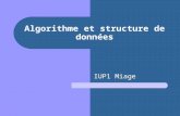 Algorithme et structure de données IUP1 Miage. Structure de donnée composée Une entité qui possède plusieurs attribut (ou champs) Exemple : Un individu.