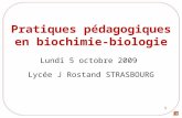 1 Pratiques pédagogiques en biochimie-biologie Lundi 5 octobre 2009 Lycée J Rostand STRASBOURG.
