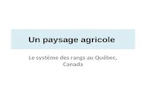 Un paysage agricole Le système des rangs au Québec, Canada.