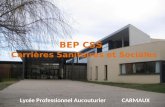 Lycée Professionnel Aucouturier CARMAUX BEP CSS Carrières Sanitaires et Sociales