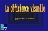 Formation AVS – 8 décembre 2010. 1 – définition (simpliste) Une déficience visuelle c'est quand la vision est basse … et qu'elle ne peut pas être réellement.