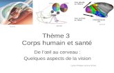 Thème 3 Corps humain et santé De lœil au cerveau : Quelques aspects de la vision Lycée Philippe Lamour Nîmes source.