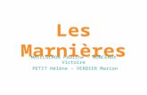Les Marnières MAILLOCHON Pauline – MONCEAUX Victoire PETIT Hélène – VERDIER Marion.