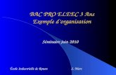BAC PRO ELEEC 3 Ans Exemple dorganisation École Industrielle de Rouen S. Marc Séminaire juin 2010.