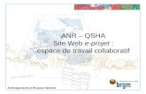 ANR – QSHA Site Web e-projet : espace de travail collaboratif Aménagements et Risques Naturels.