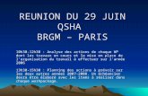 REUNION DU 29 JUIN QSHA BRGM – PARIS 10h30-12h30 : Analyse des actions de chaque WP dont les travaux en cours et la mise en place de l'organisation du.