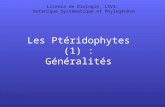 Les Ptéridophytes (1) : Généralités Licence de Biologie, LSV3. Botanique Systématique et Phylogénèse.