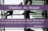 Le Risque Gestion du risque « Si nul ne prenait jamais de risques, Michel-Ange aurait peint les planchers de la chapelle Sixtine » Neil Simon.