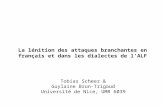 Tobias Scheer & Guylaine Brun-Trigaud Université de Nice, UMR 6039 La lénition des attaques branchantes en français et dans les dialectes de lALF.