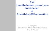 Axe hypothalamo-hypophyso- surrénalien et Anesthésie/Réanimation V. Compère Département dAnesthésie-Réanimation CHU de Rouen.