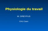 Physiologie du travail M. DREYFUS CHU Caen. Quelques références J. Lansac, G. Body, F. Perrotin, H. Marret Pratique de laccouchement Masson éditions.