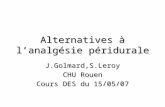 Alternatives à lanalgésie péridurale J.Golmard,S.Leroy CHU Rouen Cours DES du 15/05/07.