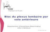 CHU _Hôpitaux de Rouen - page 1 Bloc du plexus lombaire par voie antérieure Département d'Anesthésie-Réanimation CHU C NICOLLE.