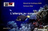 Manuel de Condinguy Edith Hameury Elise Lallergie au poisson Maîtrise IUP SIAL Année 2004-2005.