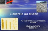 Lallergie au gluten Par MADET Nicolas et TEISSIER Thomas Maîtrise IUP SIAL 2004/2005.