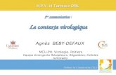 1 ère communication : Le contexte virologique Agnès BEBY-DEFAUX MCU-PH, Virologie, Poitiers Equipe émergente Récepteurs, Régulation, Cellules tumorales.