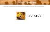 CURSUS DE FORMATION AUX NOUVELLES TECHNOLOGIES DE DEVELOPPEMENT UV MVC Module Java Expert.